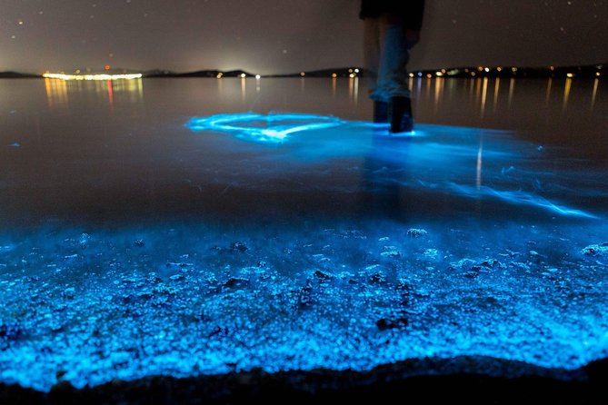 Florida Bioluminescence Kayaking Tour (Titusville) - Key points before you go