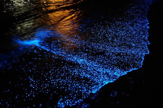 Florida Bioluminescence Kayaking Tour (Titusville) - Where you paddle: Haulover Canal, then the Indian River Lagoon or Banana River