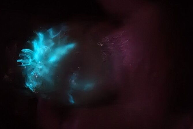 Florida Bioluminescence Kayaking Tour (Titusville) - Wildlife and photo moments: what you might actually see