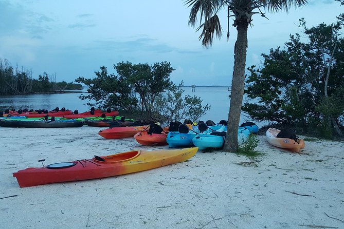 Florida Bioluminescence Kayaking Tour (Titusville) - What to bring: your comfort checklist for a night kayak