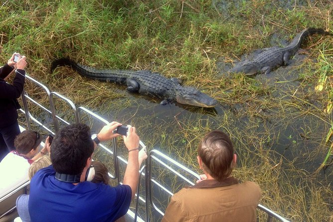 Florida Everglades Airboat Tour and Wild Florida Admission with Optional Lunch - What you’ll see out there: gators, birds, and wetland life