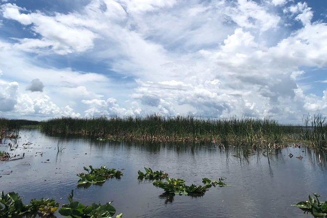 Florida Everglades Airboat Tour and Wild Florida Admission with Optional Lunch - The optional half-day BBQ lunch and alligator souvenir