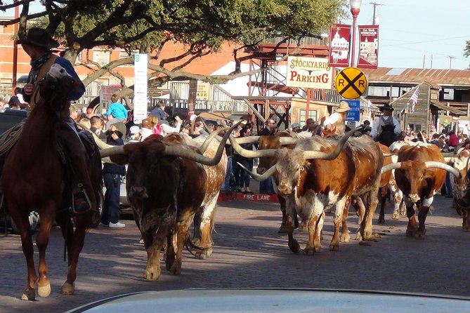 Fort Worth Historical Tour from Dallas & Fort Worth - Why the Small Group Matters (Especially at the Stockyards)