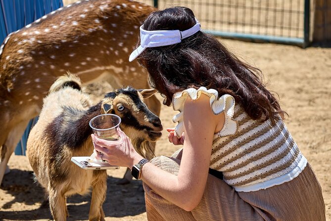 Fredericksburg Safari Tour With Wine Tasting - Who should book this tour, and who might want a different plan