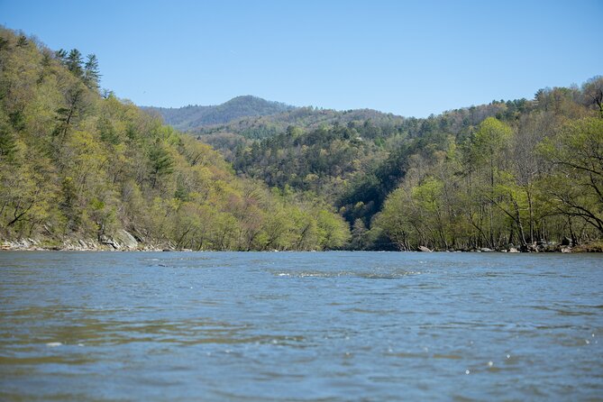 French Broad Gorge Whitewater Rafting Trip - Where the fun peaks: stopping for a jump or a river dip