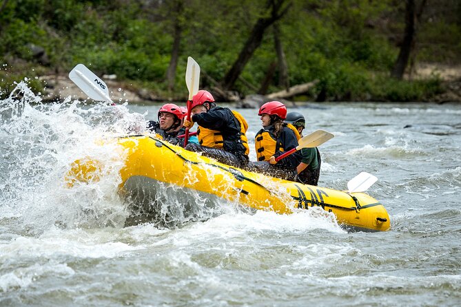 French Broad Gorge Whitewater Rafting Trip - Getting there from Asheville: quick transfers that matter more than you think