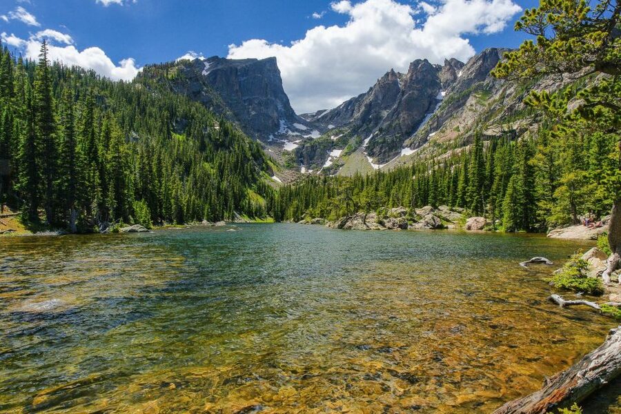 From Denver: Rocky Mountain National Park Day Trip and Lunch - Small-group van experience: comfort, AC, and guide energy
