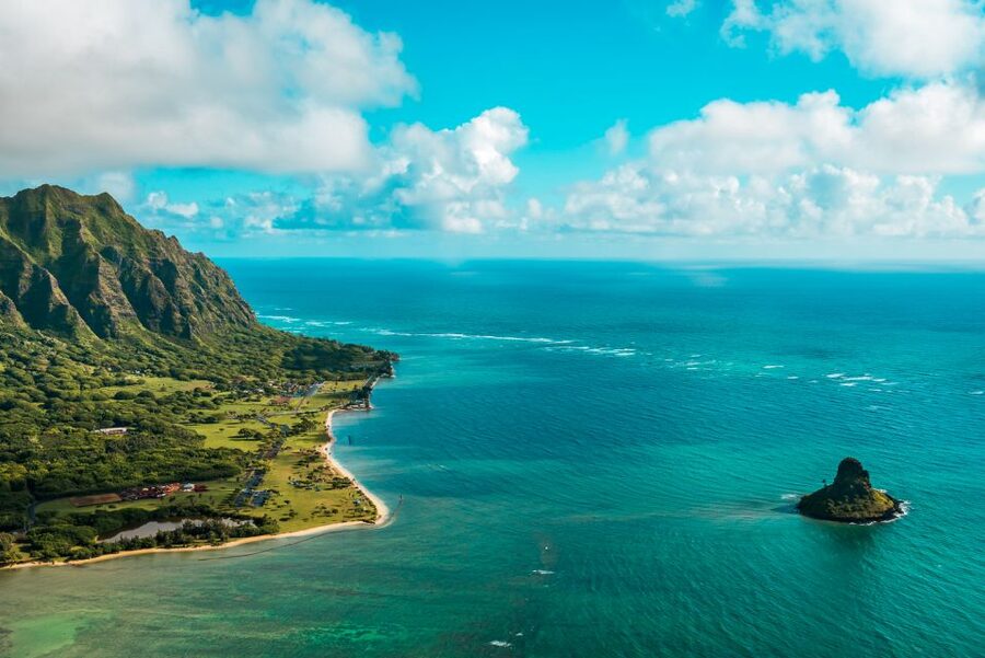 From Honolulu: Oahu 60min Helicopter Tour with Doors Off/On - Dole Plantation overview: the quick pineapple moment