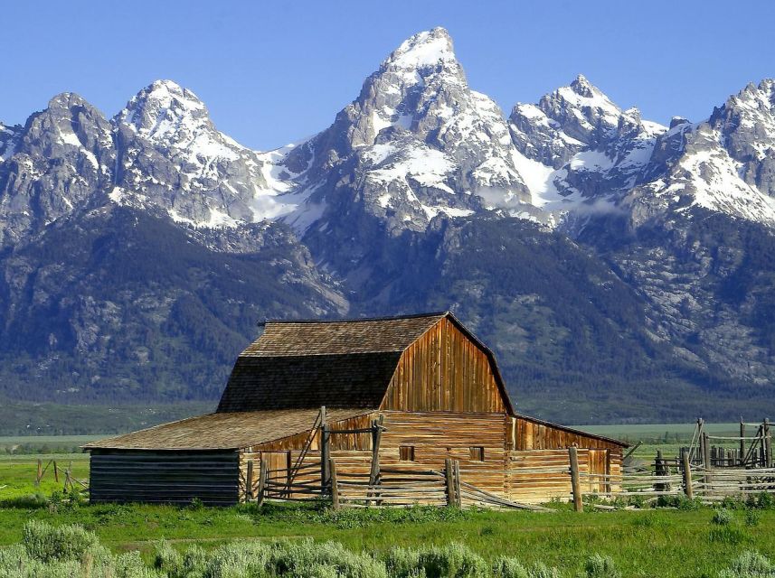From Jackson: Half-Day Grand Teton National Park Tour - Key Highlights I’d Prioritize on This Half-Day Teton Tour