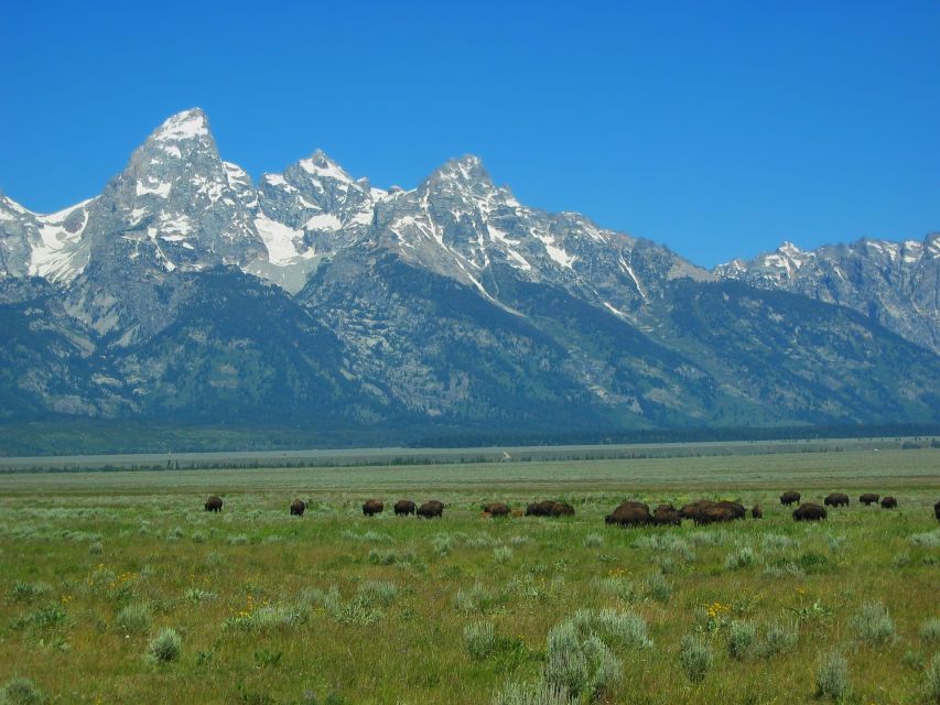 From Jackson: Half-Day Grand Teton National Park Tour - When to Go and What to Pack for Weather-Proof Tetons Days