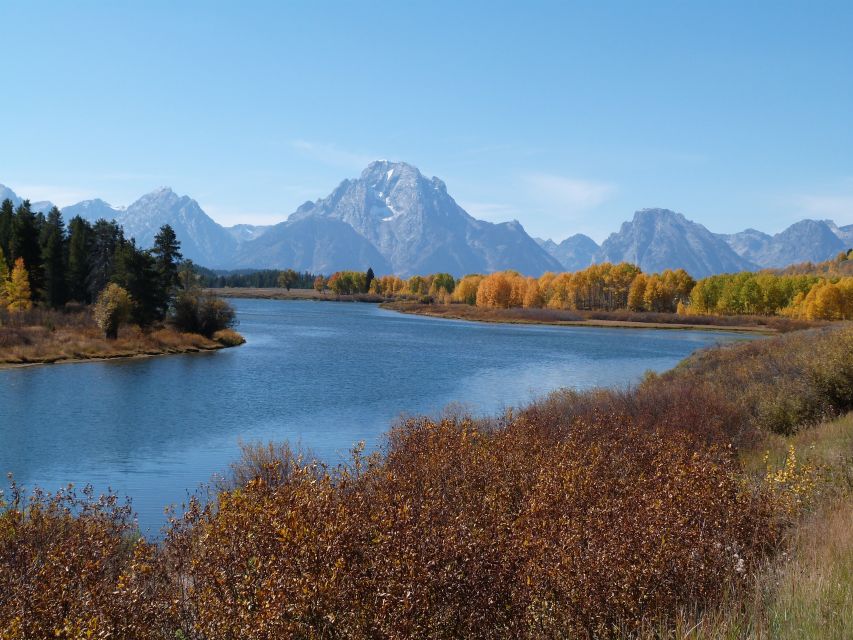 From Jackson: Half-Day Grand Teton National Park Tour - Price and Value at $149 Per Person