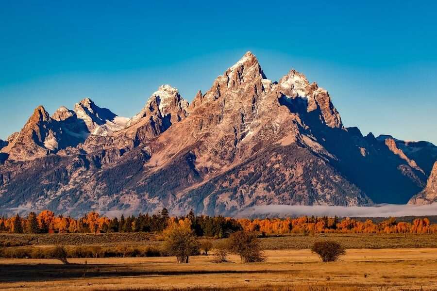 From Jackson: Half-Day Grand Teton National Park Tour - Jackson Pickup and Transport: The Difference Between Stress and Enjoyment