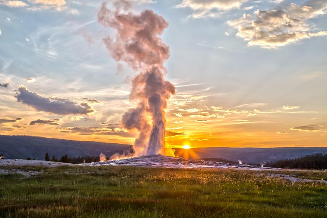 From Jackson Hole: Yellowstone Old Faithful, Waterfalls and Wildlife Day Tour - Hayden Valley: the best odds for bison and the wildlife lottery