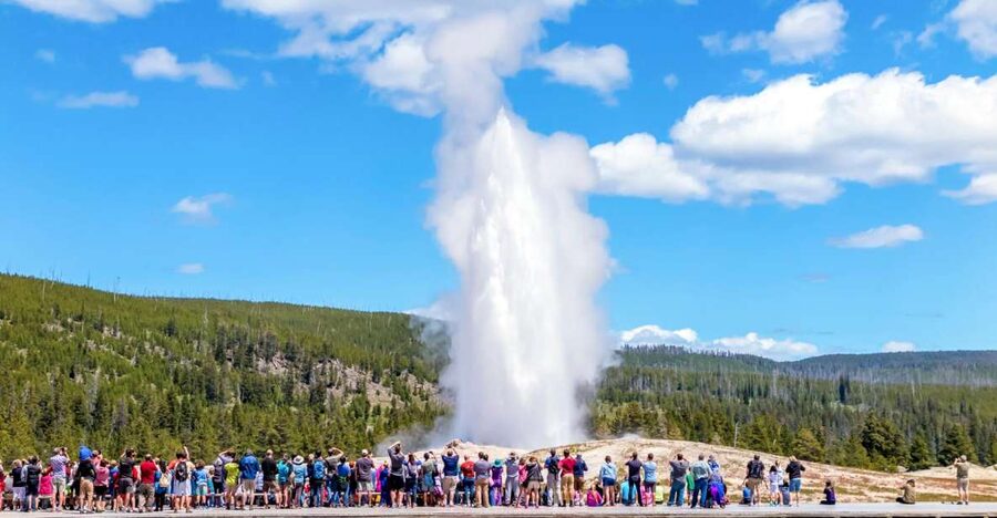 From Jackson: Yellowstone Day Tour Including Entrance Fee - A 12.5-Hour Yellowstone and Grand Teton Power Day