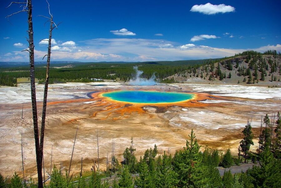 From Jackson: Yellowstone Day Tour Including Entrance Fee - Wildlife spotting with real stop-and-look moments