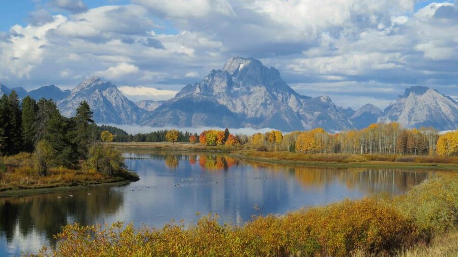From Jackson: Yellowstone Day Tour Including Entrance Fee - Price and value: why $355 can be a smart buy