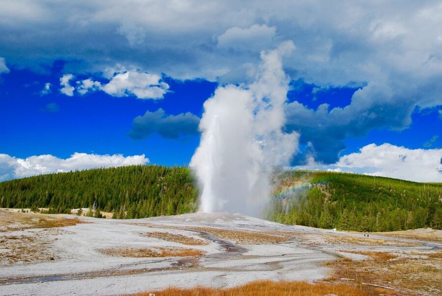 From Jackson: Yellowstone National Park Day Trip with Lunch - Key things I’d bet you’ll care about