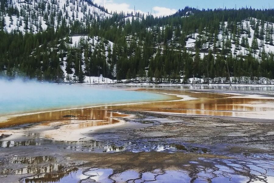 From Jackson: Yellowstone National Park Day Trip with Lunch - Waterfall time: Gibbon Falls and Virginia Cascades without rushing