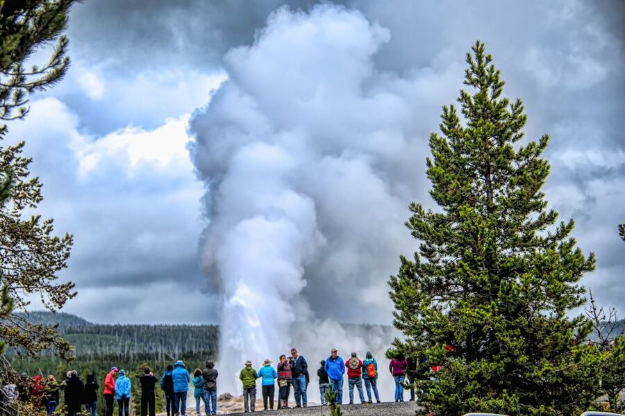 From Jackson: Yellowstone National Park Day Trip with Lunch - Hayden Valley for wildlife, then Lake Yellowstone for the wide finish