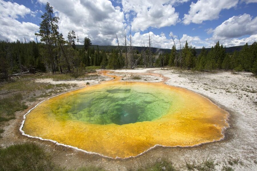 From Jackson: Yellowstone National Park Day Trip with Lunch - Lunch, drinks, snacks, and binoculars: how the tour keeps you comfortable