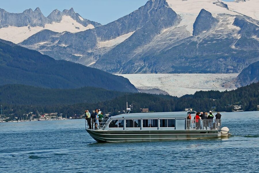 From Juneau: Whale Watching Cruise with Snacks - Dock reality check: the steep ramp and who should skip this tour