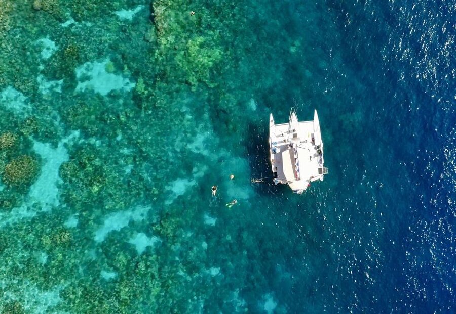 From Keauhou Bay: Snorkel Cruise to Captain Cook's Monument - Stop two: the Captain Cook monument side of the reef