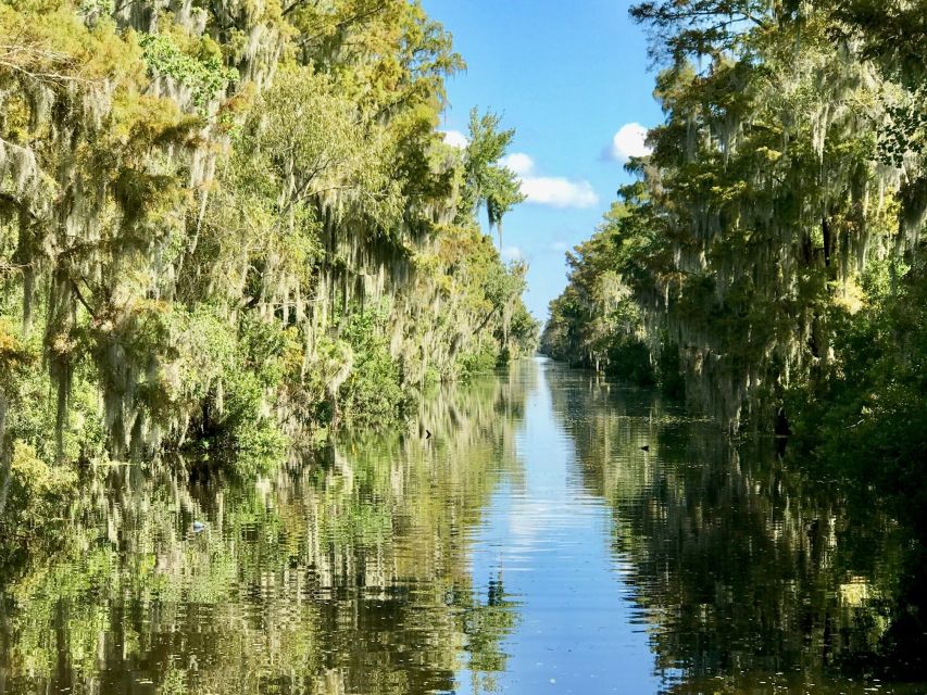 From Lafitte: Swamp Tours South of New Orleans by Airboat - Price and value: what $59 buys you in real terms