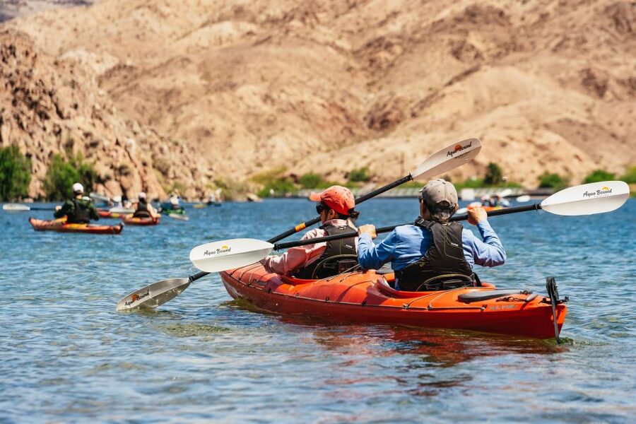From Las Vegas: Black Canyon Half-Day Kayak Tour - Wildlife watch: Desert bighorn sheep, eagles, and coyotes