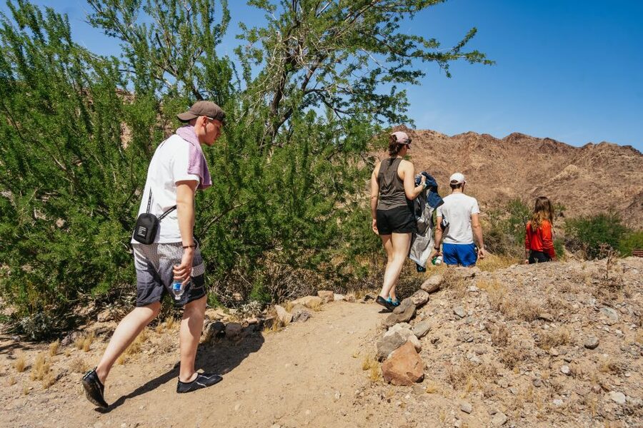 From Las Vegas: Black Canyon Half-Day Kayak Tour - Price and value: what $149 buys you on the Colorado River