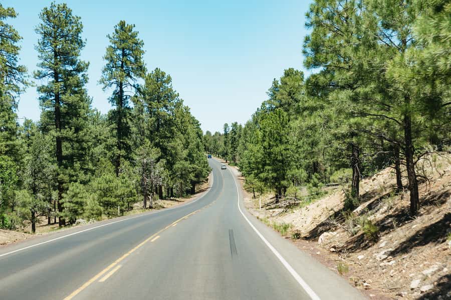 From Las Vegas: Grand Canyon South Rim Day Trip - Practical packing checklist for the South Rim day