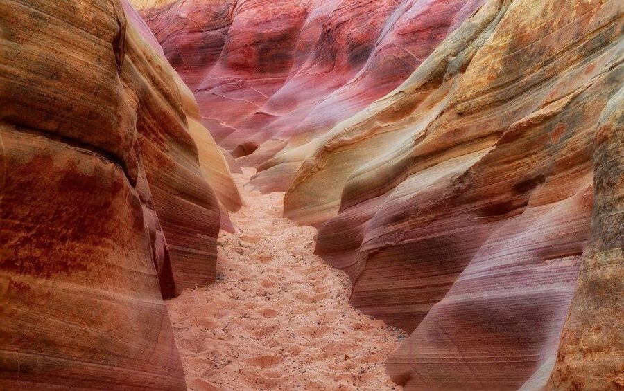 From Las Vegas: Valley of Fire State Park Tour - The guided walk through fiery red formations: what you will see and why it matters