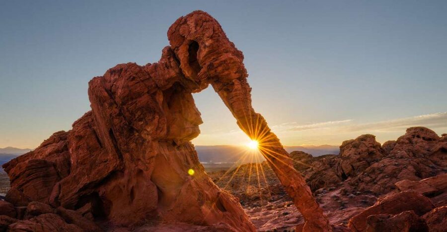 From Las Vegas: Valley of Fire State Park Tour - Petrified trees and 4,000-year-old petroglyphs: the human layer in the desert