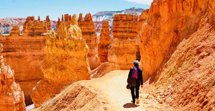 From Las Vegas: Zion and Bryce Canyon Day Trip with Pickup - Key highlights worth your time