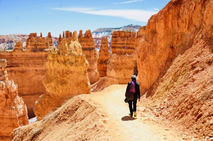From Las Vegas: Zion and Bryce Canyon Day Trip with Pickup - Las Vegas to Utah Canyons: What the Long Drive Buys You
