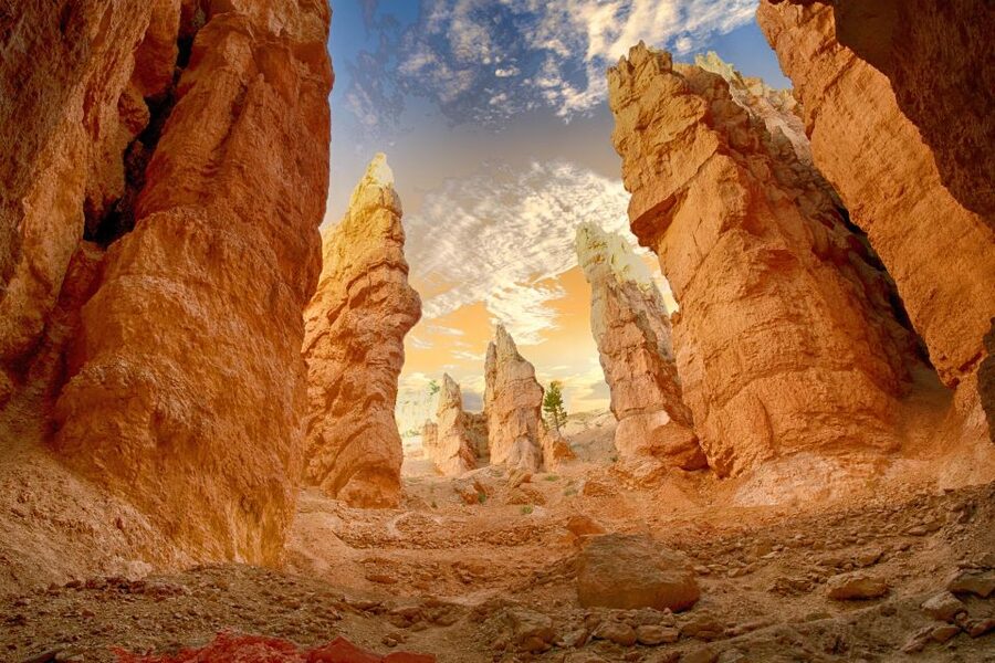 From Las Vegas: Zion and Bryce Canyon Day Trip with Pickup - Price and Value: Is $239 Worth It?