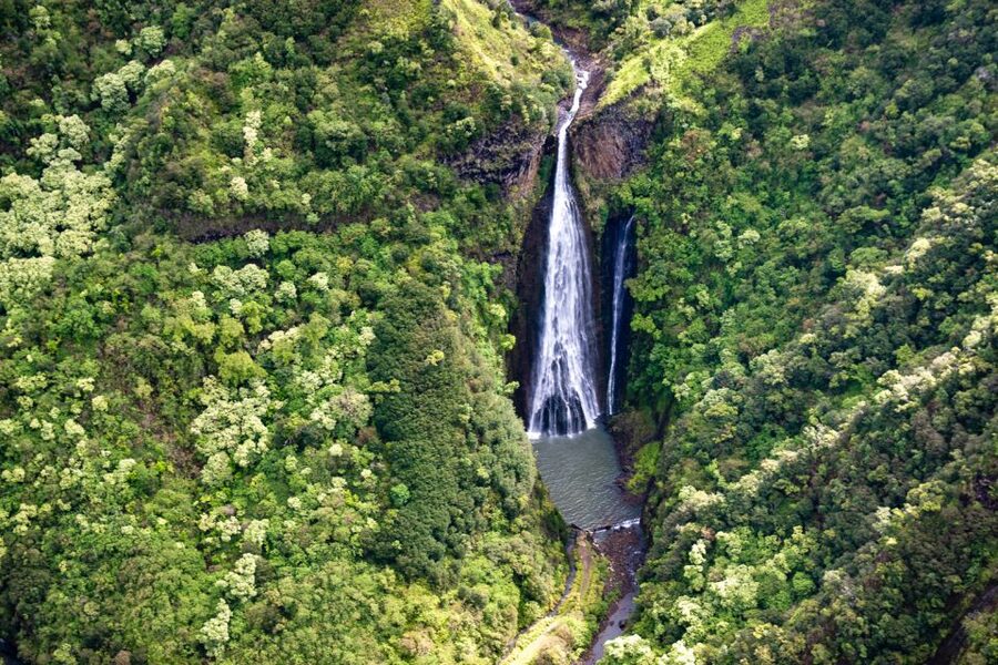 From Lihue: Kauai Sightseeing Helicopter Flight - Olokele Canyon Landing, Rare Plant Life, and That Moment You Can Walk