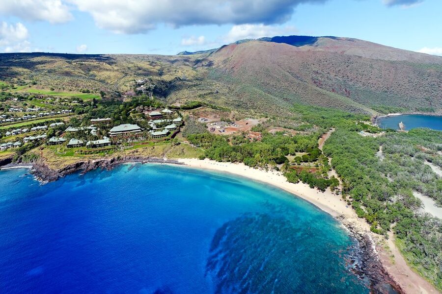 From Ma'alaea: Turtle Town Snorkel aboard Quicksilver - Who this Quicksilver Turtle Town snorkel fits best