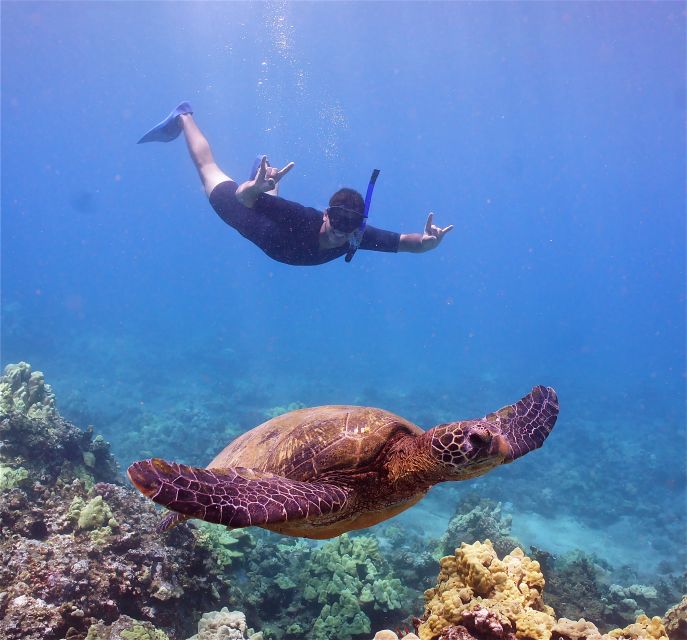 From Ma'alaea: Turtle Town Snorkel aboard Quicksilver - From Ma’alaea Harbor to Turtle Town: what you’re really buying