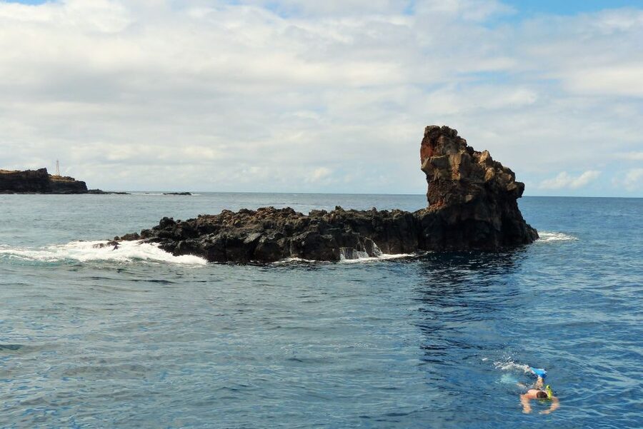 From Ma'alaea: Turtle Town Snorkel aboard Quicksilver - Makena snorkeling: where the turtles and coral tend to happen