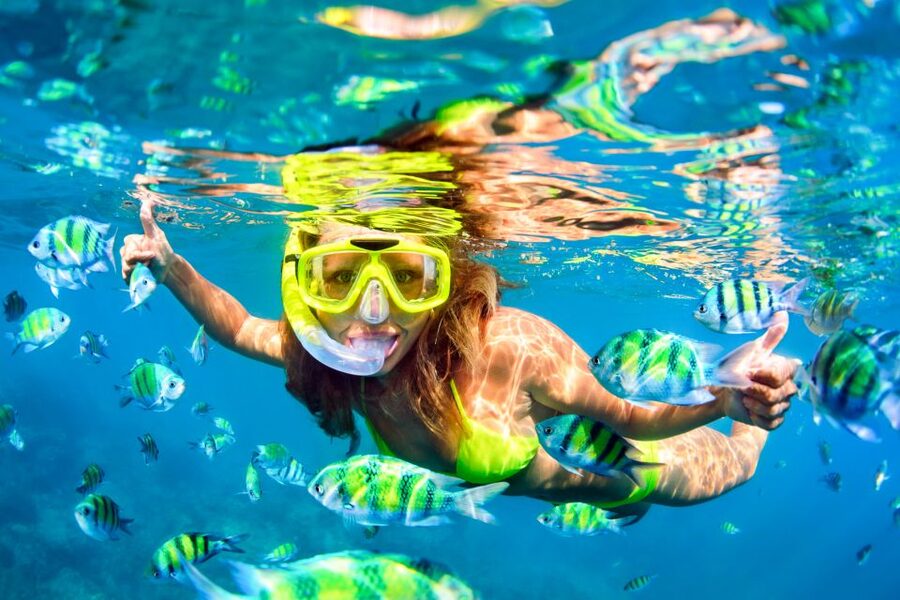 From Ma'alaea: Turtle Town Snorkel aboard Quicksilver - Price and value: why $99 can feel fair here