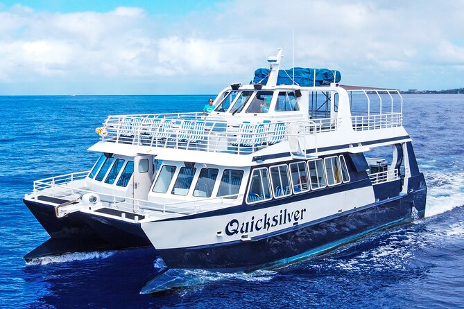 From Maalaea: Whale Watching Tour Aboard the Quicksilver - Key things I’d notice before you go