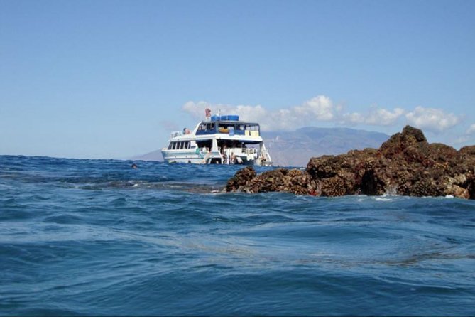 From Maalaea: Whale Watching Tour Aboard the Quicksilver - Seat choice and photo strategy: where to stand for the best views