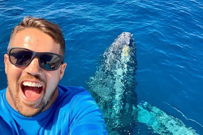 From Maalaea: Whale Watching Tour Aboard the Quicksilver - Two decks, two hours, and a ride that can be bumpy