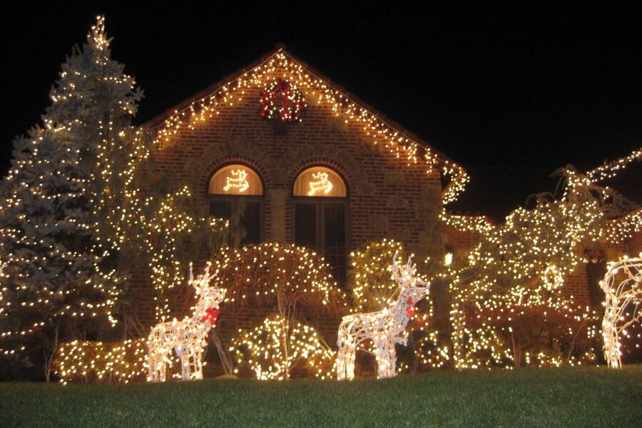 From Manhattan: 4-Hour Brooklyn Christmas Magic Tour - The practical way to see Brooklyn from midtown: ride, stop, repeat