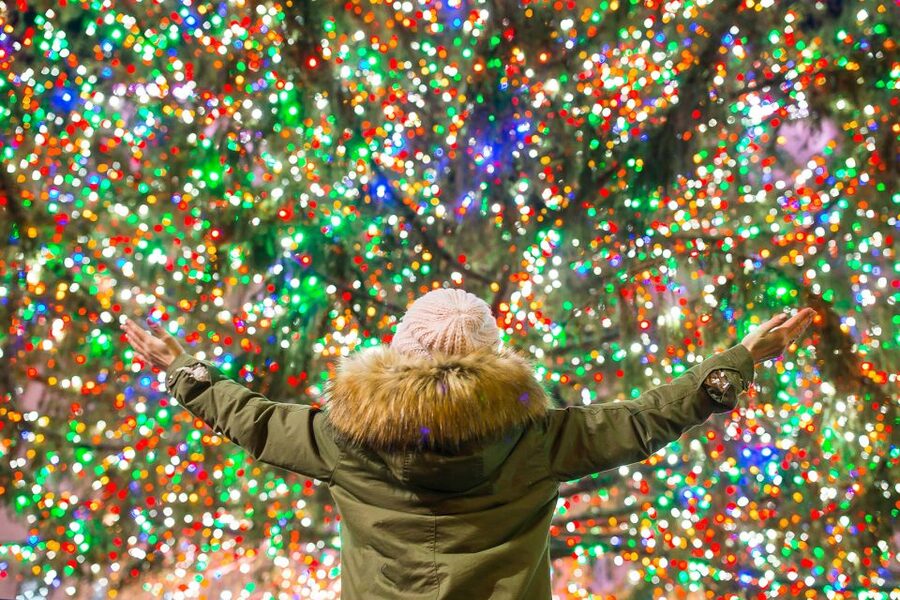 From Manhattan: 4-Hour Christmas Lights Luxury Bus Tour - Price and value: why $95 can make sense for a night like this