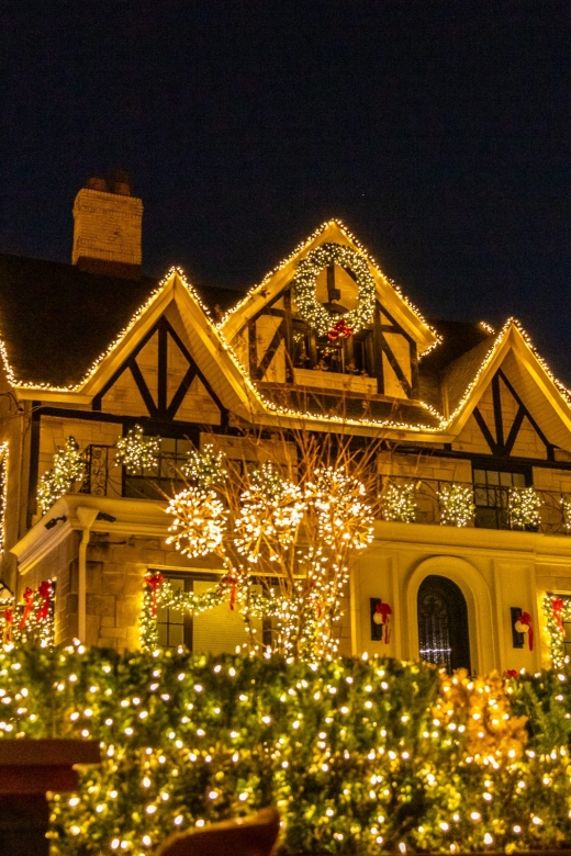 From Manhattan: 4-Hour Dyker Heights Holiday Lights Bus Tour - Who should book this Dyker Heights lights bus tour