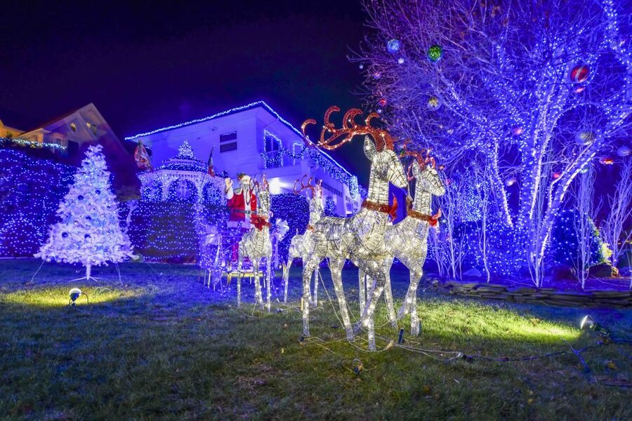 From Manhattan: Dyker Heights Lights & Skyline Tour - The bus ride experience: comfort, timing, and winter details