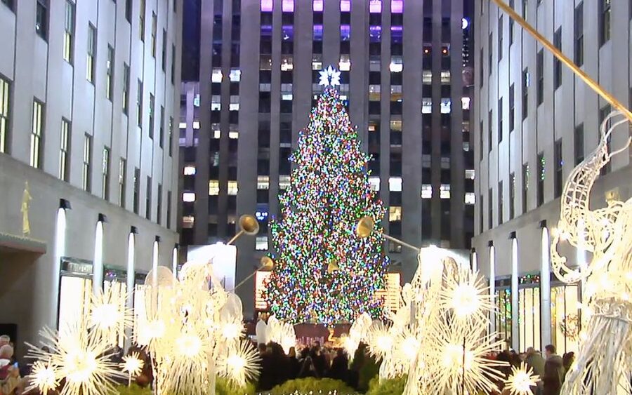 From Manhattan: Dyker Heights Lights & Skyline Tour - Price and value: why $55 can be a good deal (if you want the lights, not the hassle)
