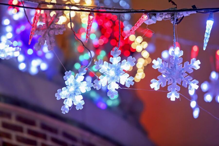 From Manhattan: Dyker Heights Lights & Skyline Tour - Who should book this tour, and who should skip it