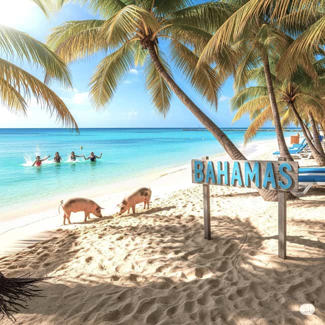 From Miami: Bimini or Grand Bahama Day Trip by Ferry - Morning boarding: check-in closes at 7:30 AM sharp